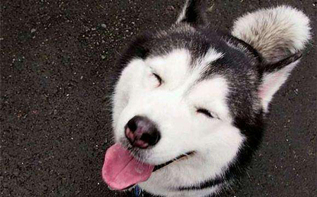 來自你身體的一封信:不許你再欺負我!