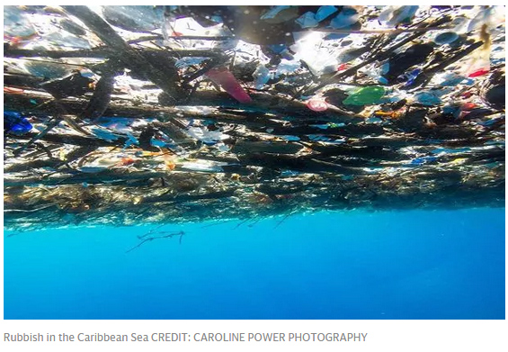 這照片讓人震驚!加勒比海被塑料垃圾“活埋”