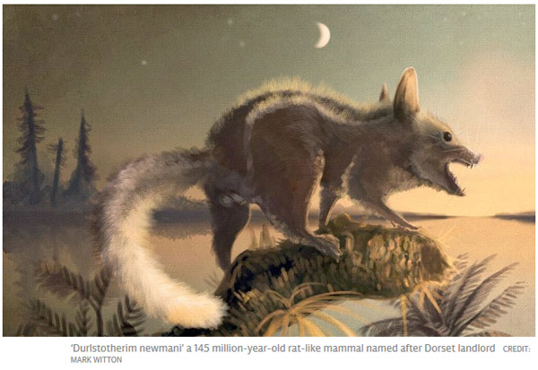 考古新發現：人類的祖先是老鼠