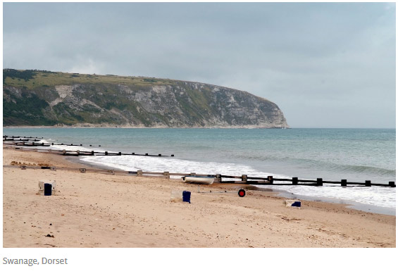 考古新發現：人類的祖先是老鼠