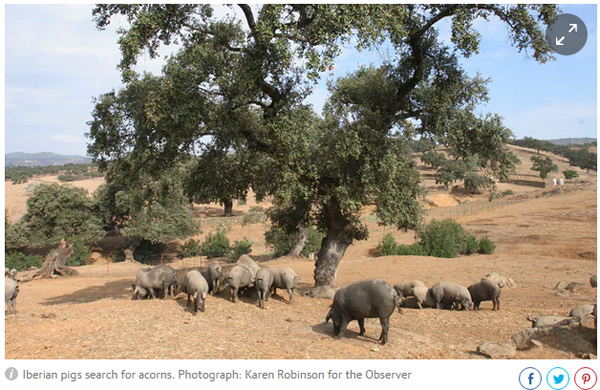 火腿告急！西班牙火腿成中國餐桌新寵