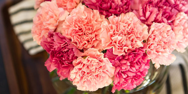 10種鮮花的英文名及含義，蘭花的竟然這么污，不忍直視