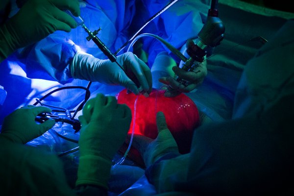 雙語盤點:2017年,我們了解到哪些科學(xué)新知?