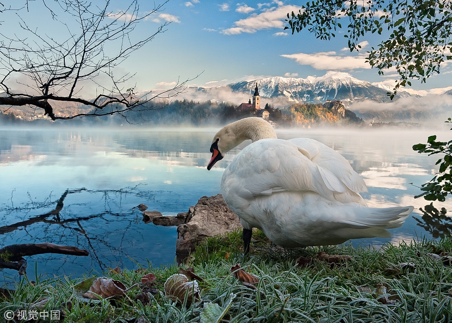 冬天邂逅真實(shí)版“冰雪奇緣” 全球10大冰雪圣地帶來夢幻體驗(yàn)（組圖）