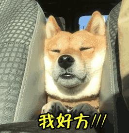 支付寶年度賬單挖了個大坑，你也不慎掉進去了嗎？