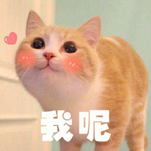 調查顯示狗奴比貓奴賺得多，你覺得準嗎？