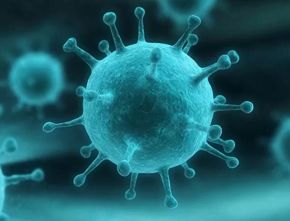 警報！警報！流感席卷全球，你中招了么？