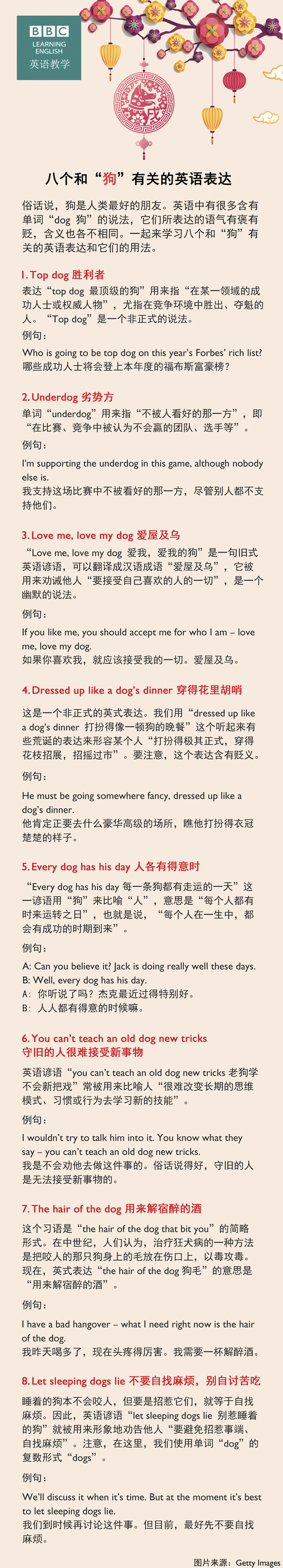 八個和“狗”有關的英語表達