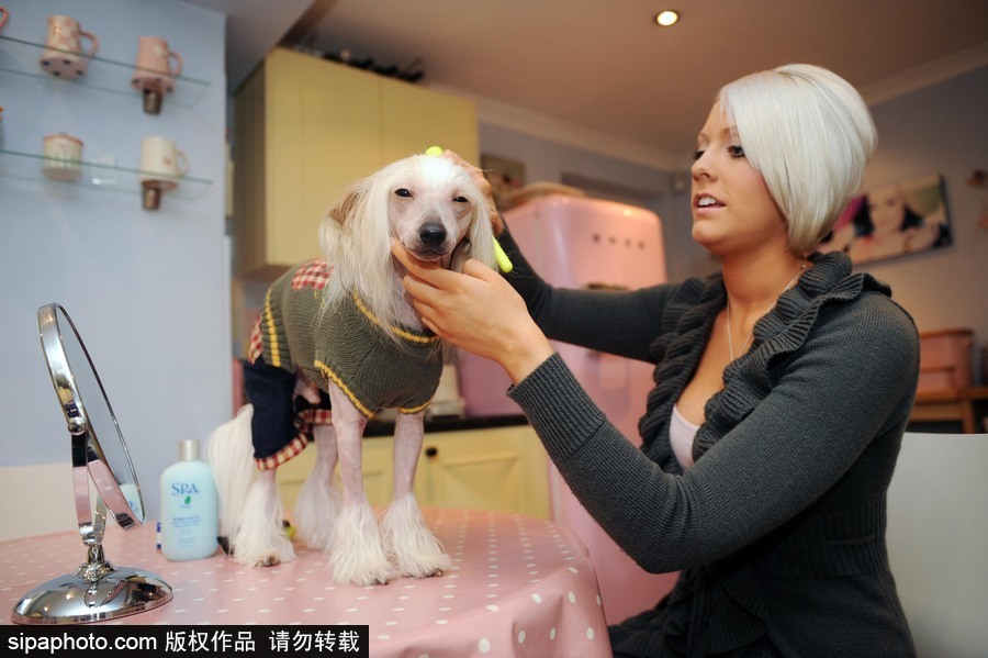 人不如狗系列！走進全世界最奢華的狗狗生活（組圖）