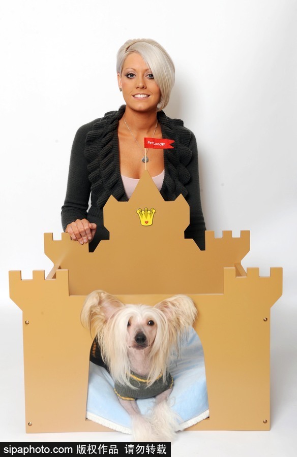 人不如狗系列！走進(jìn)全世界最奢華的狗狗生活（組圖）
