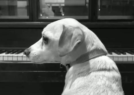 為防惡意劇透,《西部世界》主創(chuàng)決定自己先劇透!不過……