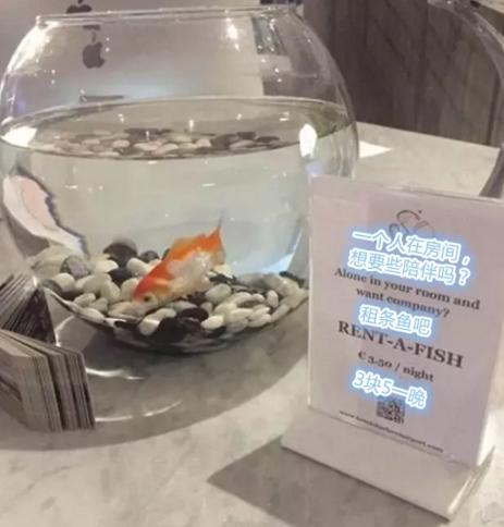 網友曬出貼心的酒店服務，這些設計也太人性化了吧