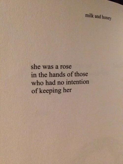 一朵鮮花插在牛糞上:你知道英語怎么說嗎?