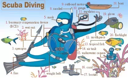 31張圖囊括所有生活常用詞!