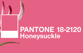 搶先看!2018年度色彩如此神秘又高科技