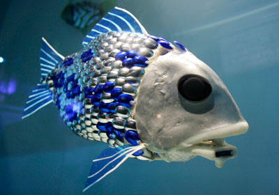 Robot fish detect pollution <BR>英用機(jī)器魚測(cè)水質(zhì)(圖)