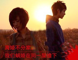 “蝸婚”英文怎么表達