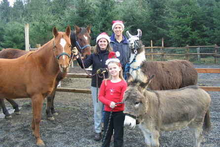 回歸鄉間的都市人