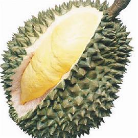 職場(chǎng)“榴蓮族” durian clan