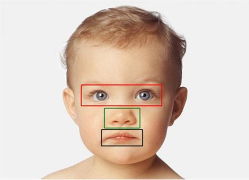 “可愛回應(yīng)”不只屬于成年人!