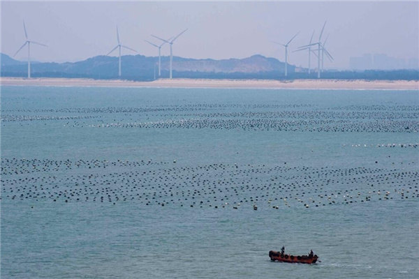 Rising rural tourism lifts villages