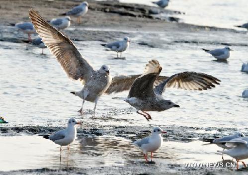 Summer resort's beautiful winter scenary