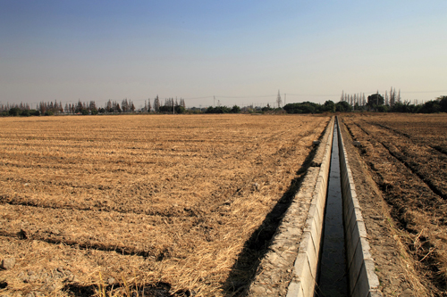 Huaqiao in late Autumn