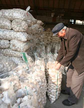 2009：中國瘋狂的大蒜