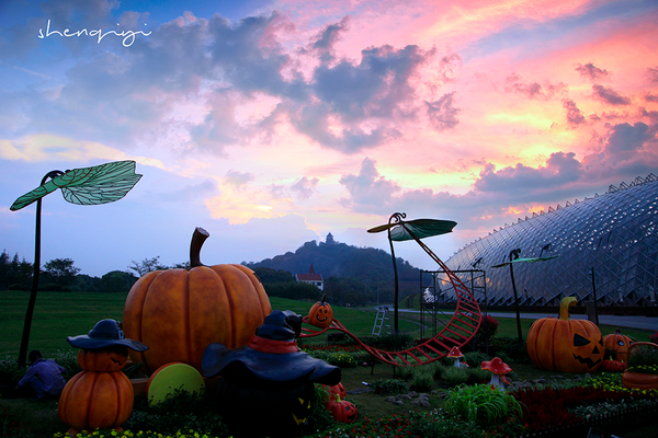 Flower shows in Chenshan throughout the year