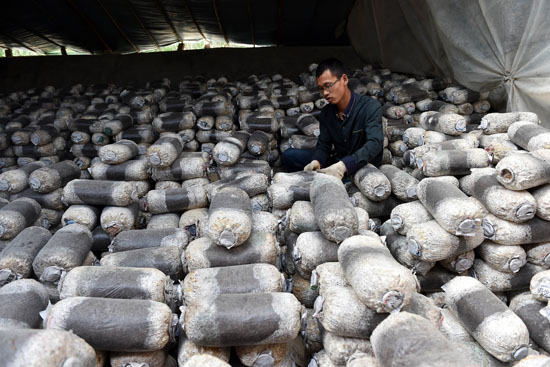 Young men in their agricultural careers