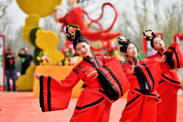 Blooming spring tulips brighten up Tai'an