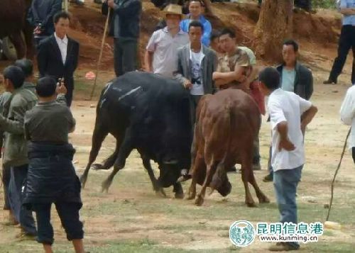 Miao people celebrate Huashan Festival in Yunnan