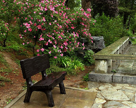 Jingcui Lake and Fragrant Hill