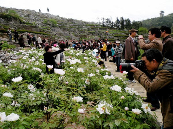 Tourist safety is a beautiful sight