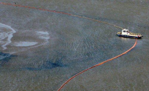 US oil spill threatens wildlife