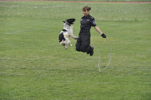 A police dog jumps rope with a policewoman at a police dog training base in Beijing, July 11, 2011. Police dogs show off their skills