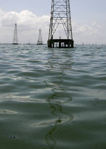 Black specter in Venezuelan lake