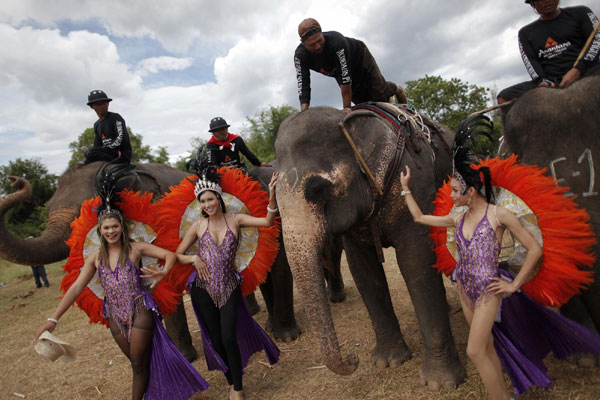 Elephant Polo in Thailand