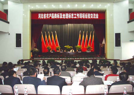 Chapter 10 Local Trademark Progress