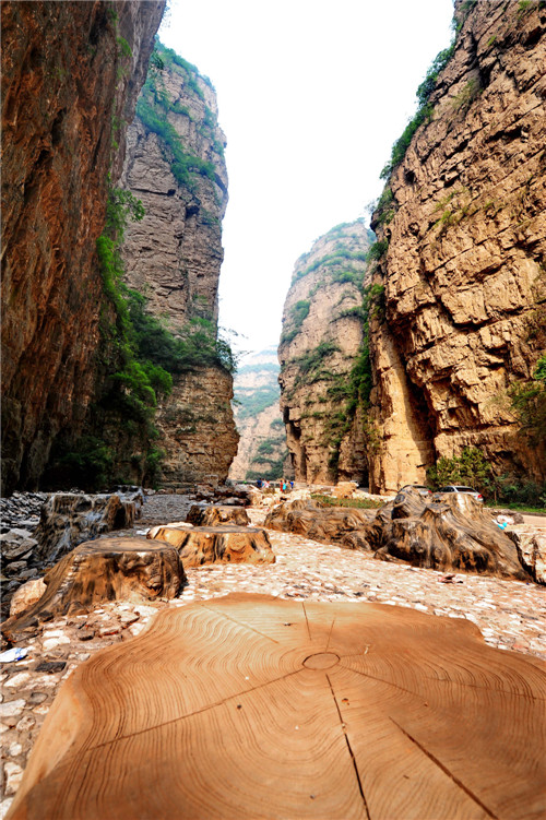 IV. Red autumn leaves in a canyon