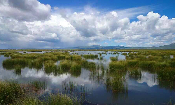 Journey to the Silk Road - Sichuan