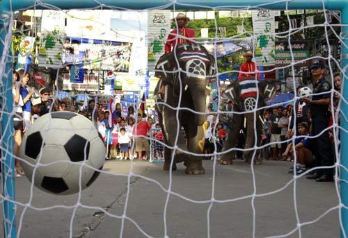 Elephants play soccer to promote tourism in Bangkok