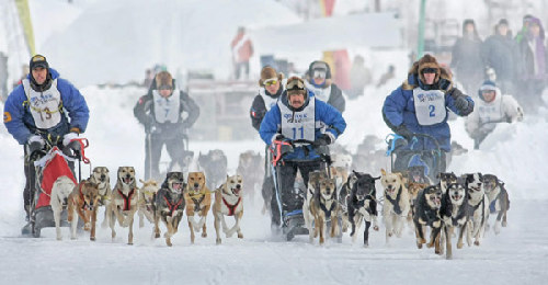 63歲中國退休男人追夢(mèng)北極拍攝當(dāng)?shù)卦∶? style=