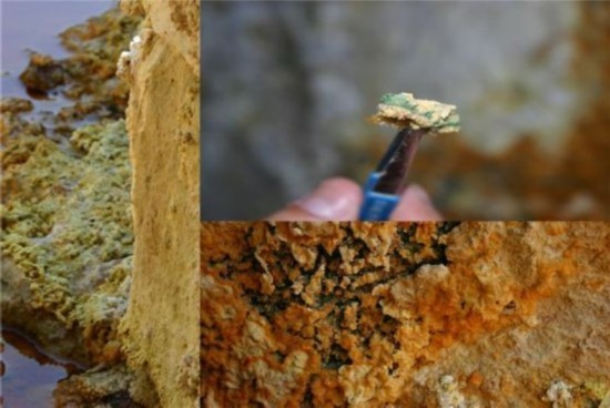 研究發(fā)現(xiàn)火星微生物或存在地球上