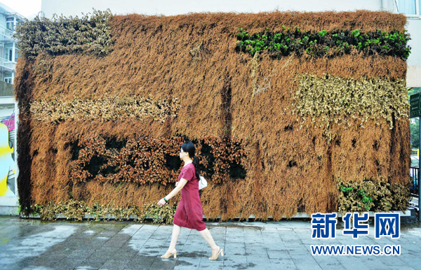 專家詳解近日我國大范圍高溫天氣