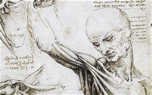 達芬奇共解剖30多具尸體 所作人體解剖圖生動清晰