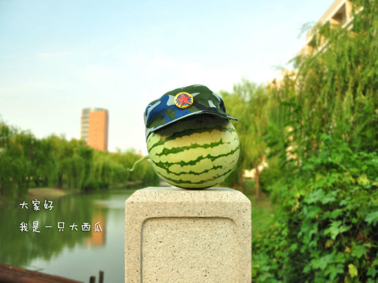 學生軍訓西瓜君走紅網(wǎng)絡 賣萌搞笑惹人愛(組圖)