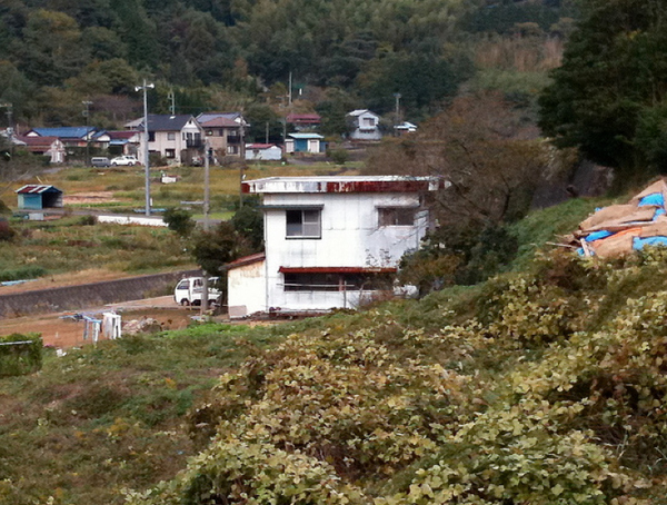 萬物有靈！看房子的豐富表情(組圖)