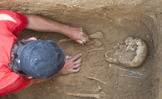 法國發現1650年前貴族頭骨：嚴重畸形呈錐形(組圖)