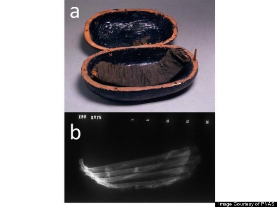木乃伊陪葬肉塊經復雜處理 用作死者來世食物